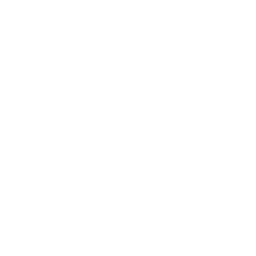Protection Icon